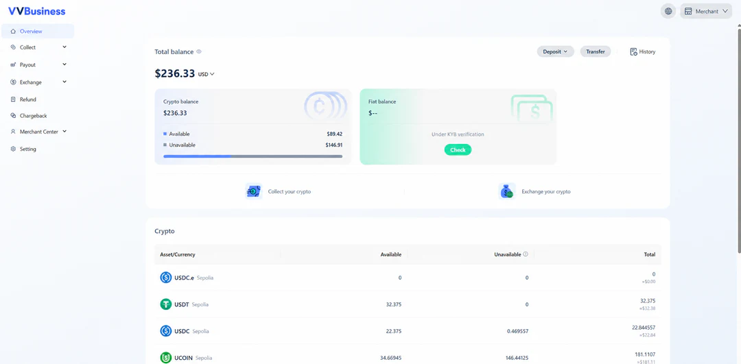 Wanel Business dashboard for digital asset and fiat balances