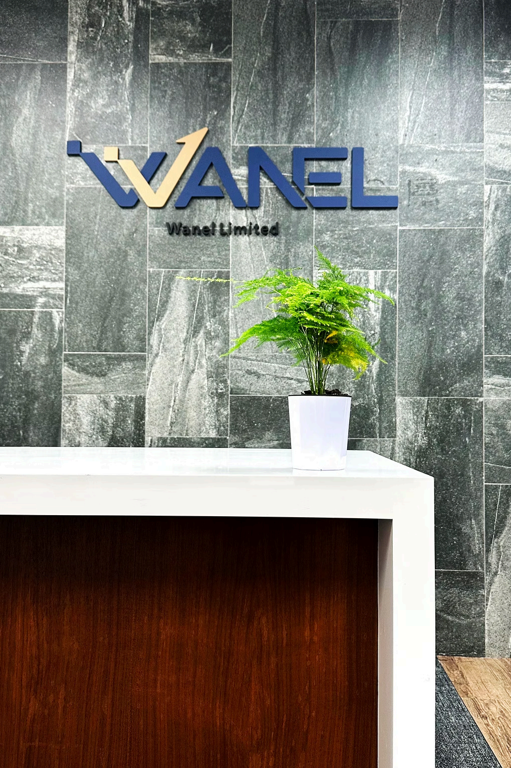 Wanel Hong Kong office reception and brand sign